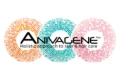 ANIVA