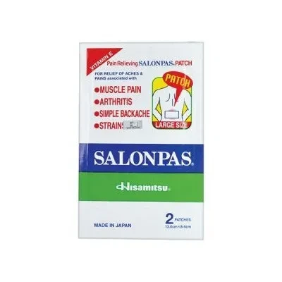 SALONPAS MEDICATED PLASTER LARGE 2S